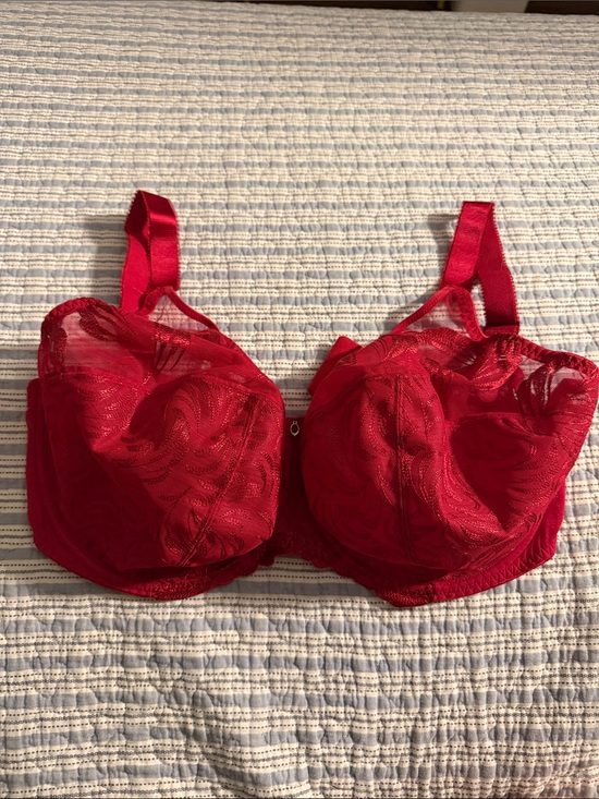 Fantasie Other - Fantasie Red Lace Underwire Bra full coverage